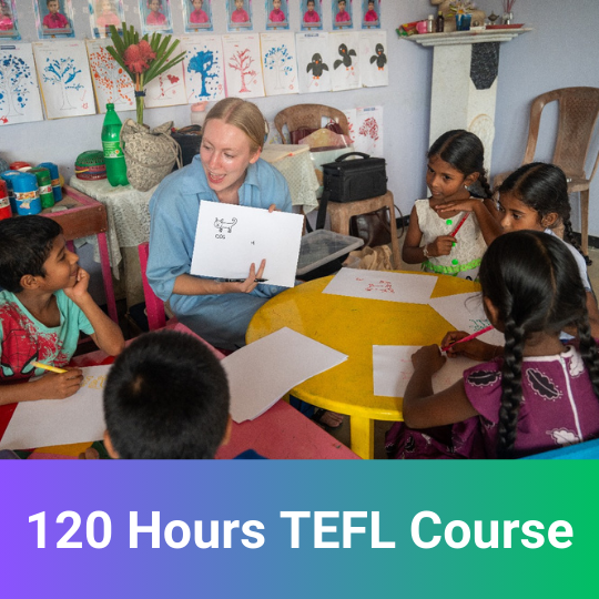 120 Hours Online TEFL Course